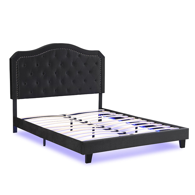 Modern Upholstered Bed with LED Lights and Tufted Design - Black Velvet