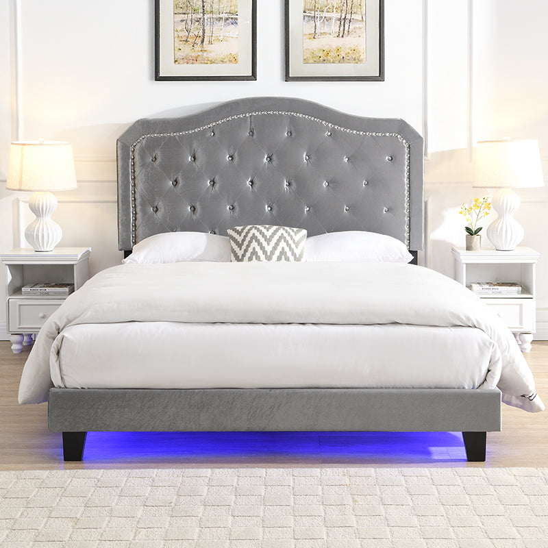 Light Grey Velvet Upholstered Bed with LED Lights and Slat Support