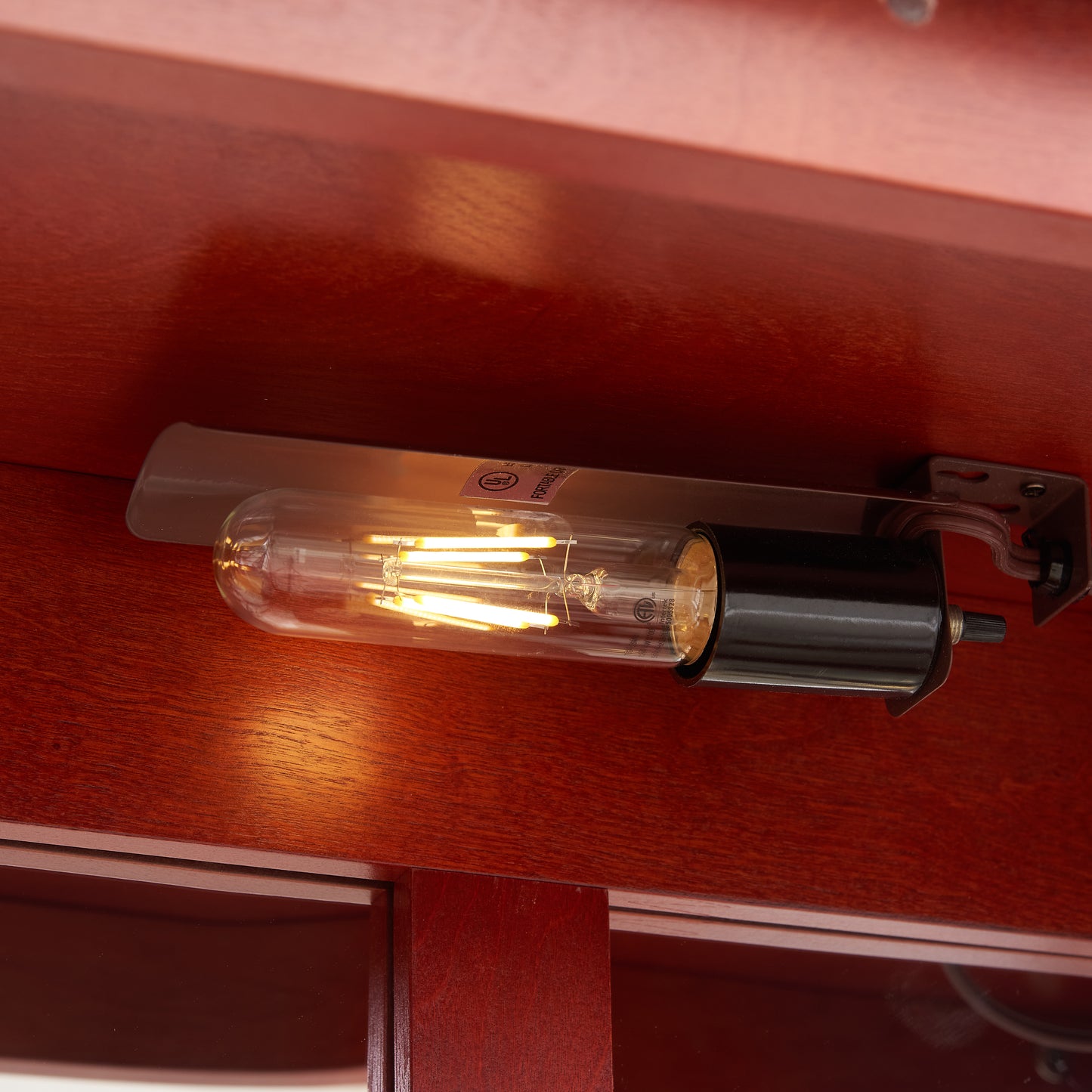 Vintage Edison bulb with warm filament glow