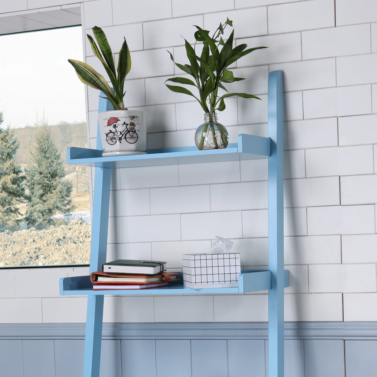 Light blue wooden ladder shelf with plants and books