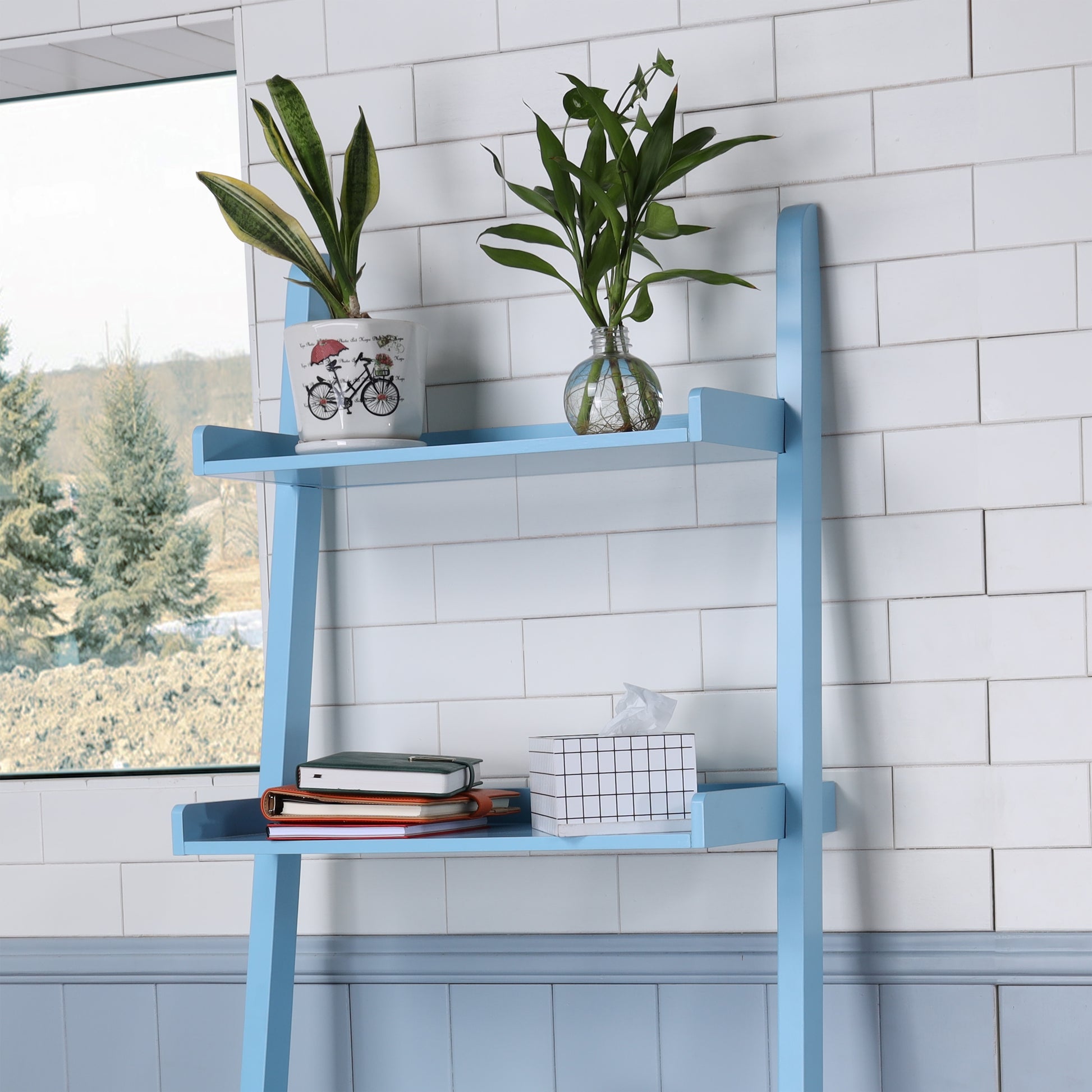 Light blue wooden ladder shelf with plants and books