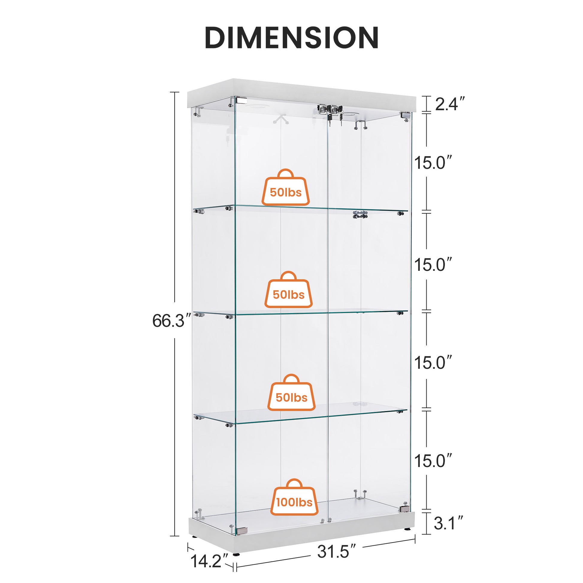 Elegant glass display cabinet dimensions  H x  W x  D