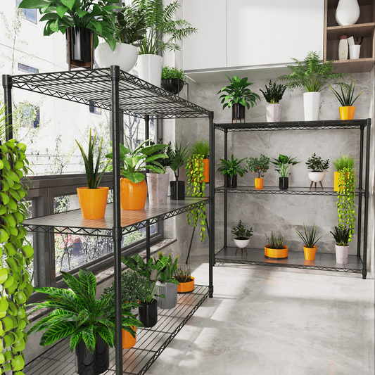 Black wire shelving unit displaying various potted houseplants