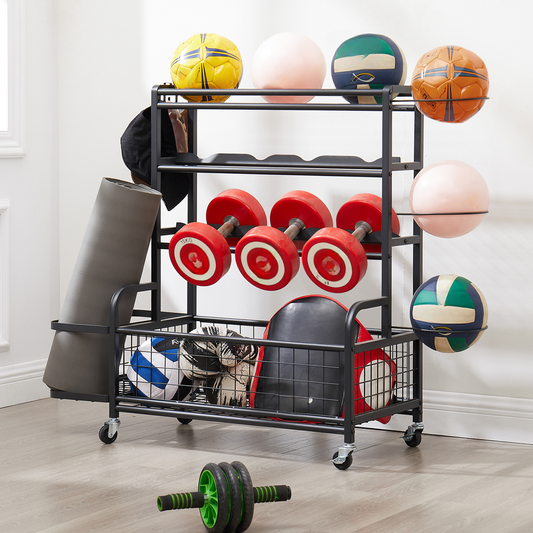 Black metal multitier sports equipment rack with dumbbells balls and mats