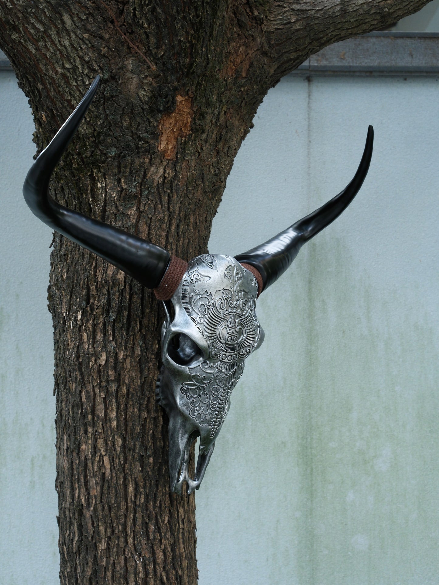 ornate silver bull skull with black horns mounted on a tree