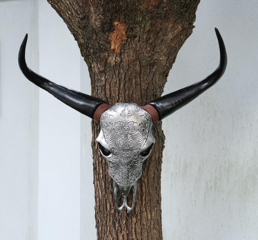 Ornate silver bull skull with black horns