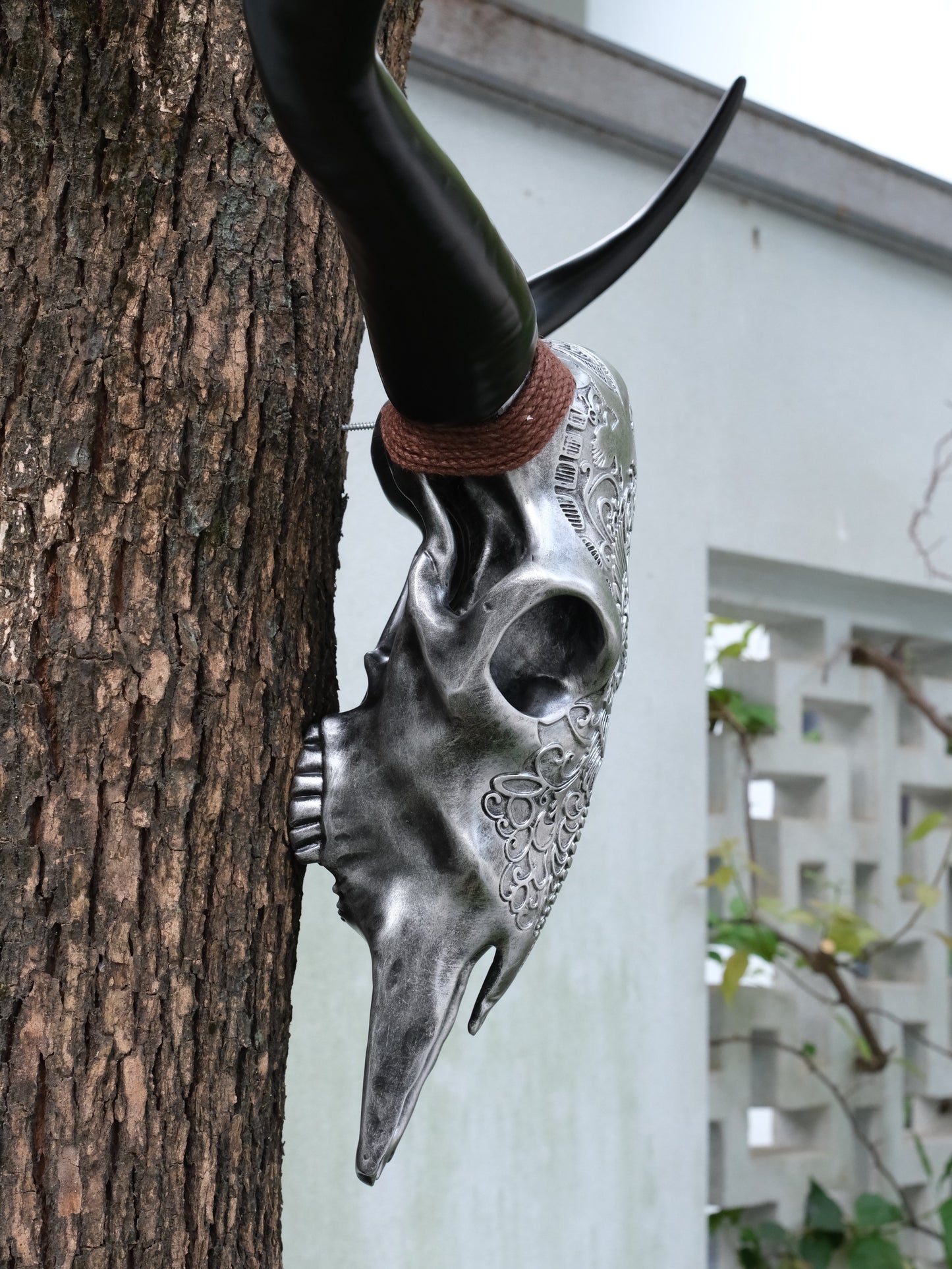 Silver bull skull wall decor with ornate carving and black horns