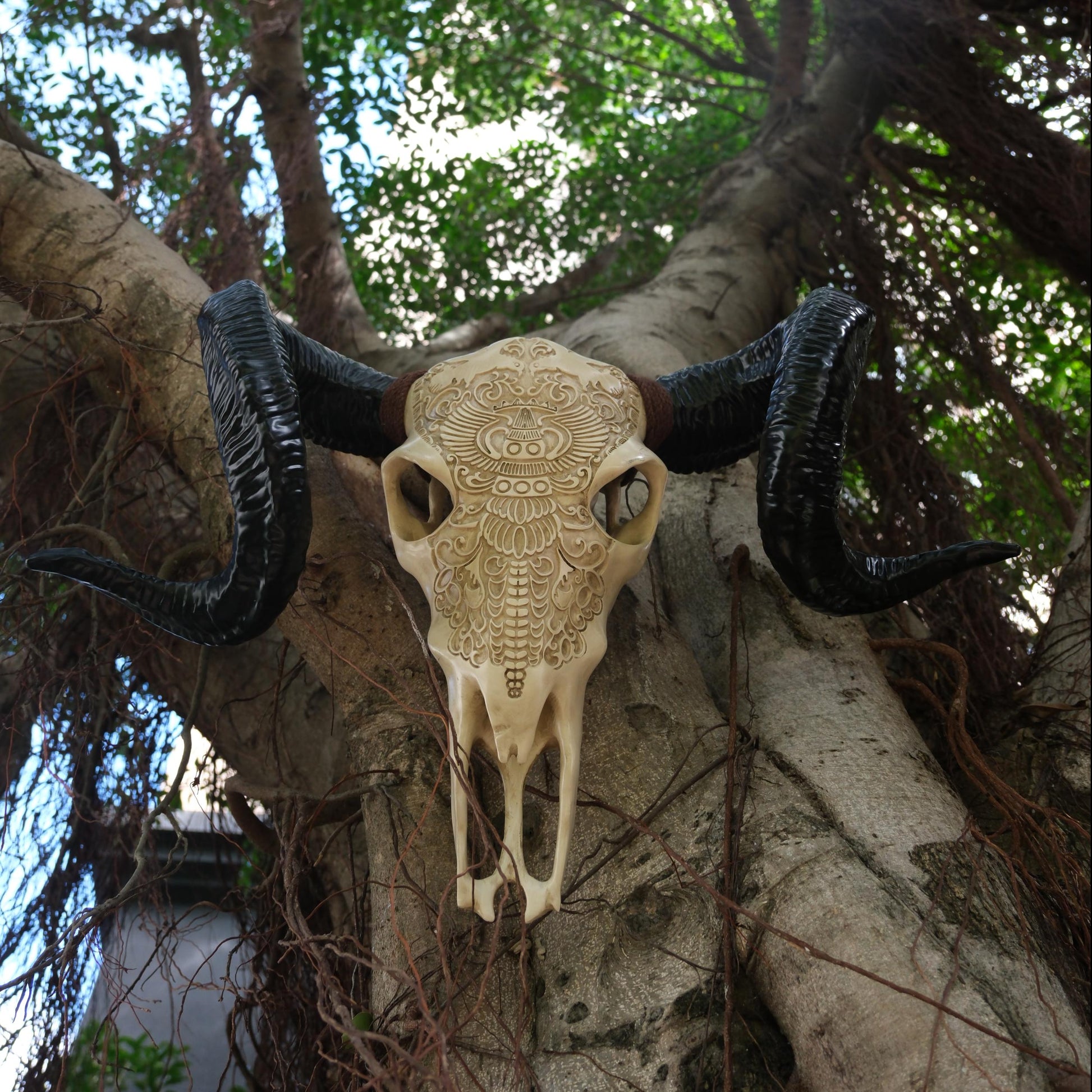 Ornate carved resin ram skull with large black horns perfect for rustic decor