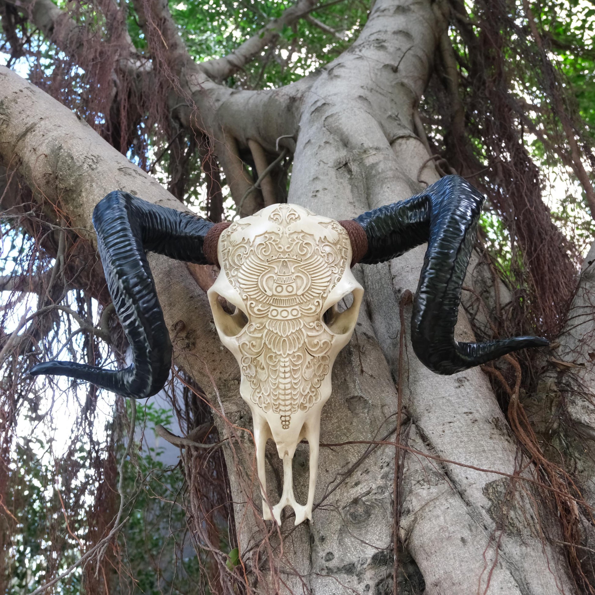 Intricately carved beige ram skull with curled black horns