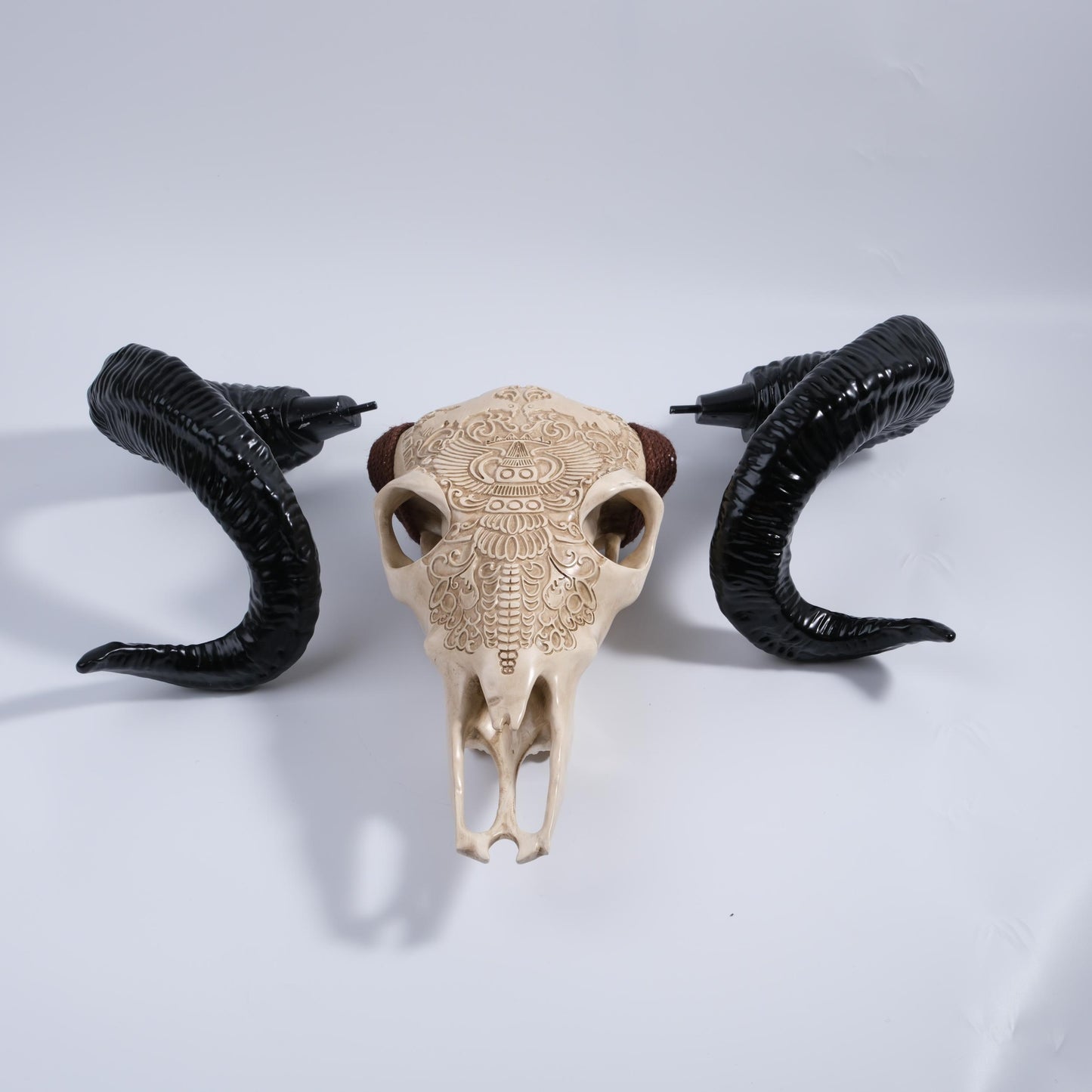 ornate beige ram skull with carved details and shiny black curled horns