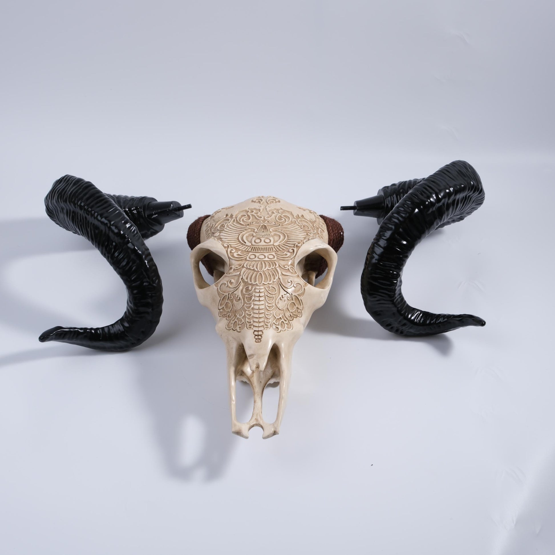 ornate beige ram skull with carved details and shiny black curled horns