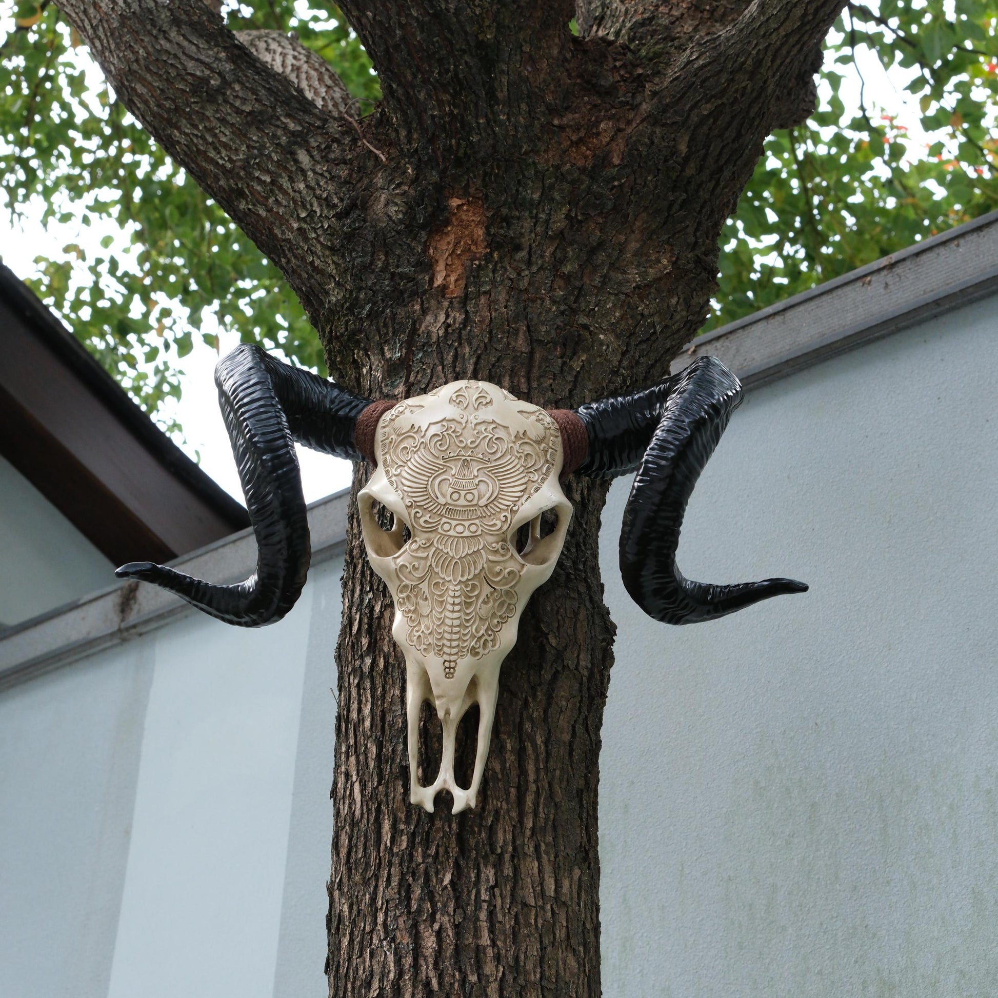 ornate ram skull wall decor with black curved horns mounted on tree