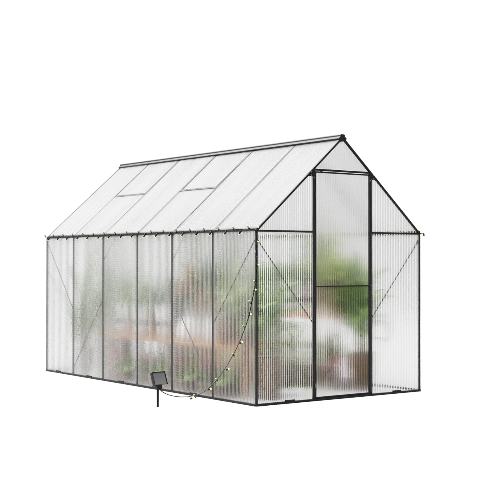 Large clear polycarbonate greenhouse with black frame and string lights