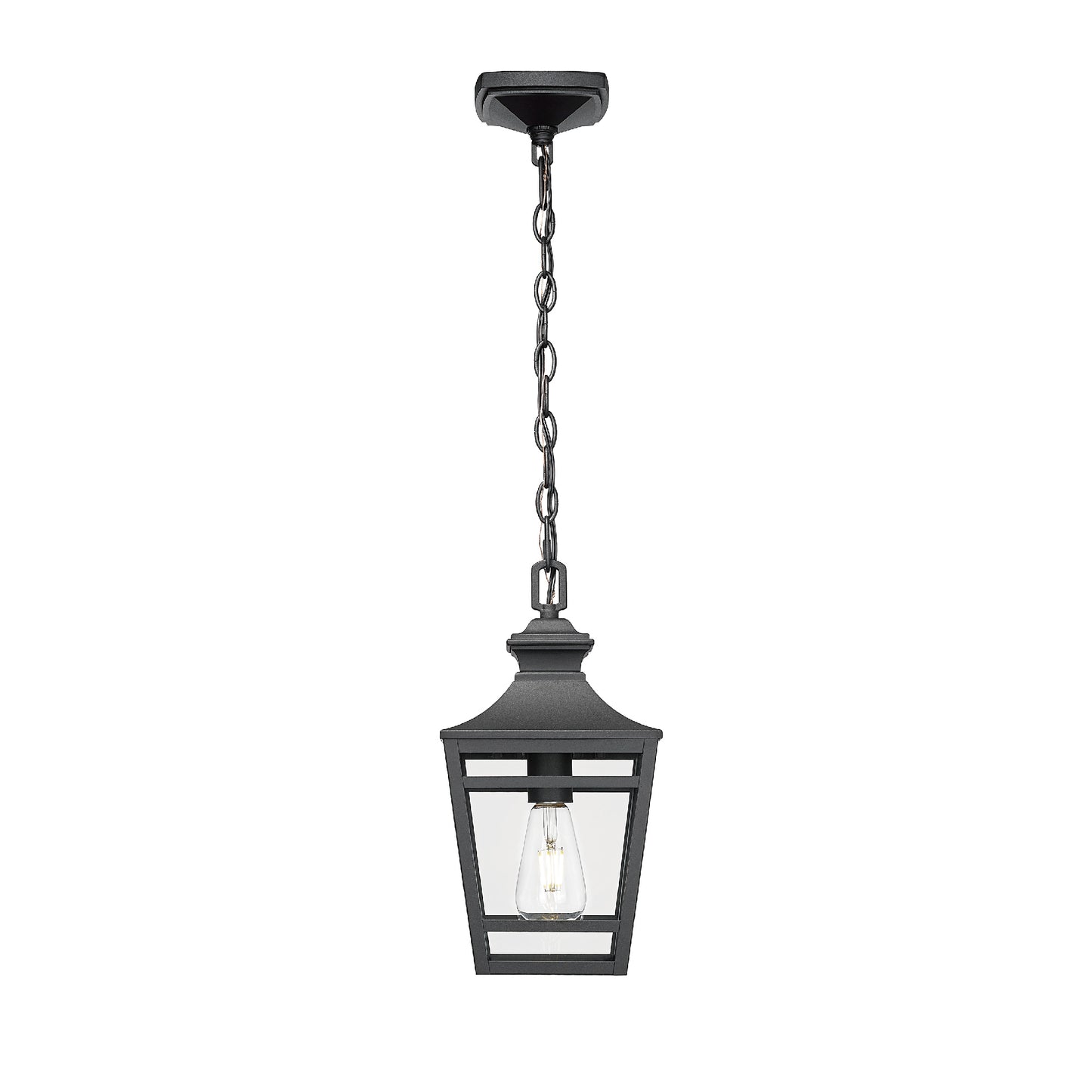 Black metal outdoor pendant light with clear glass and Edison bulb