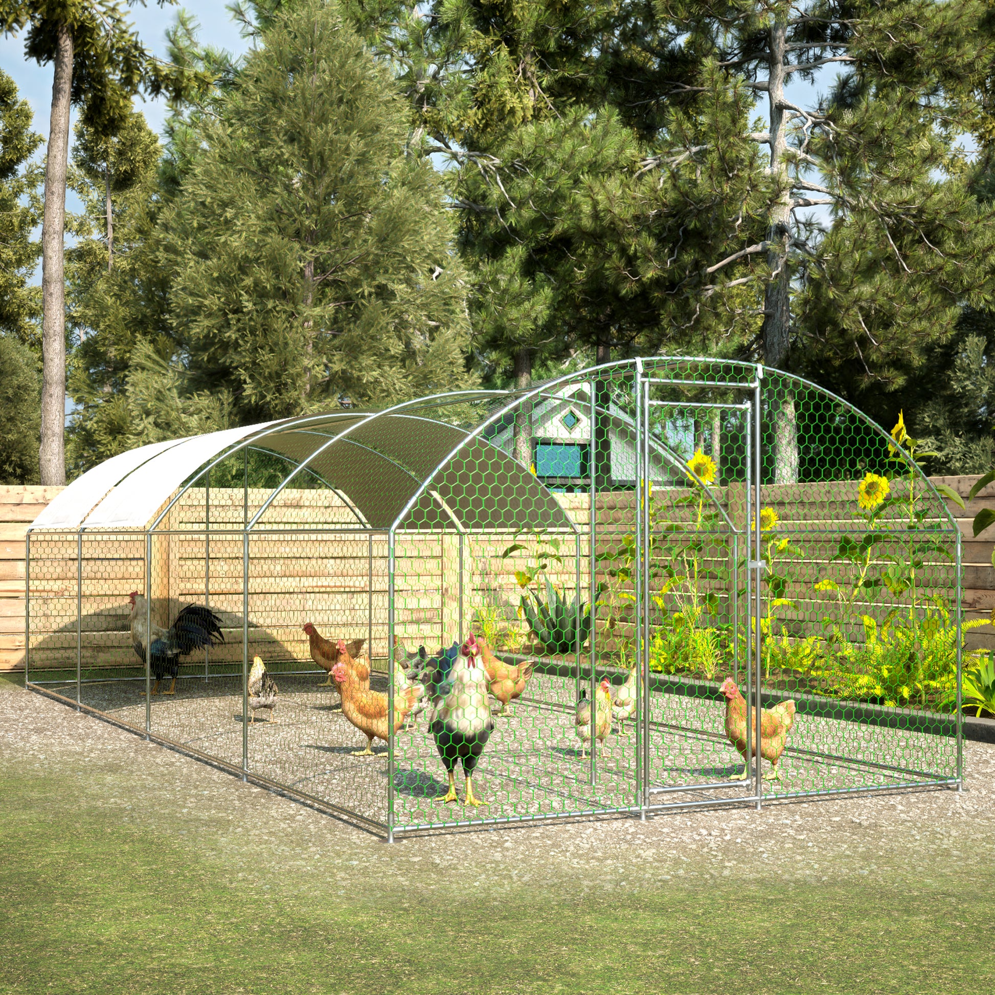 Spacious chicken coop with arched roof provides secure outdoor space for fowl