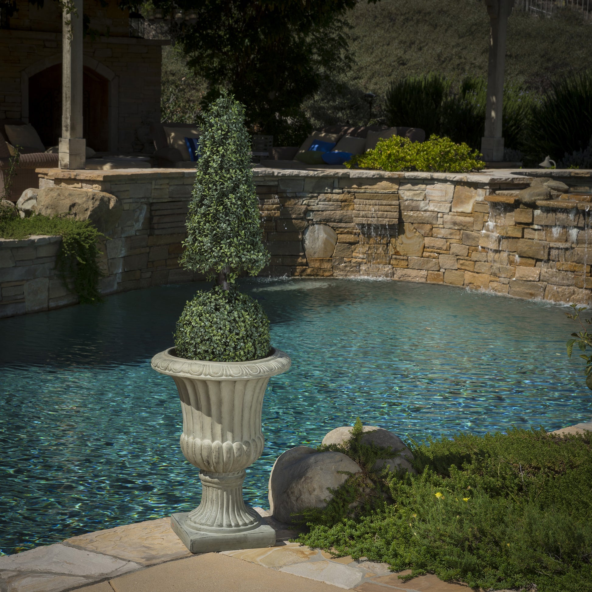 Classic urn planter with a sculpted topiary shrub beside a sparkling swimming pool