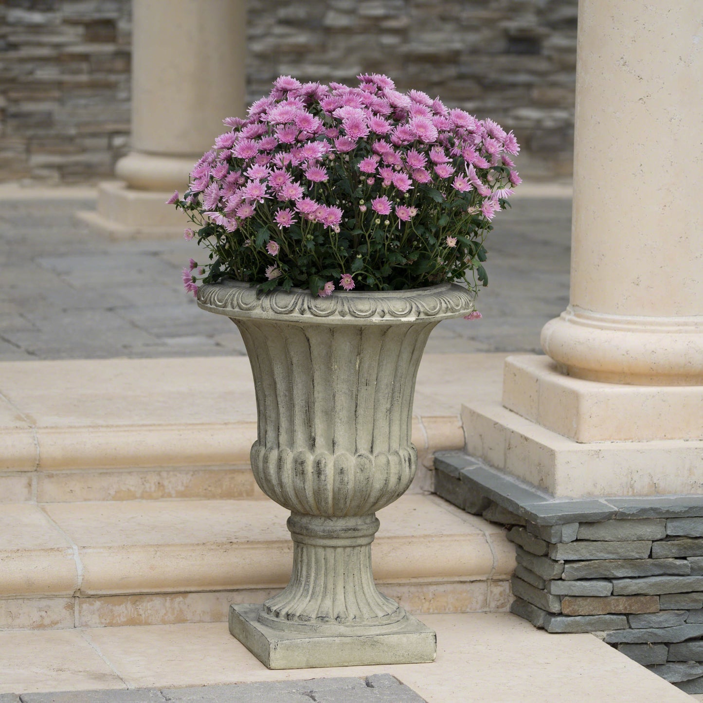 Textured stone urn with vibrant pink chrysanthemums