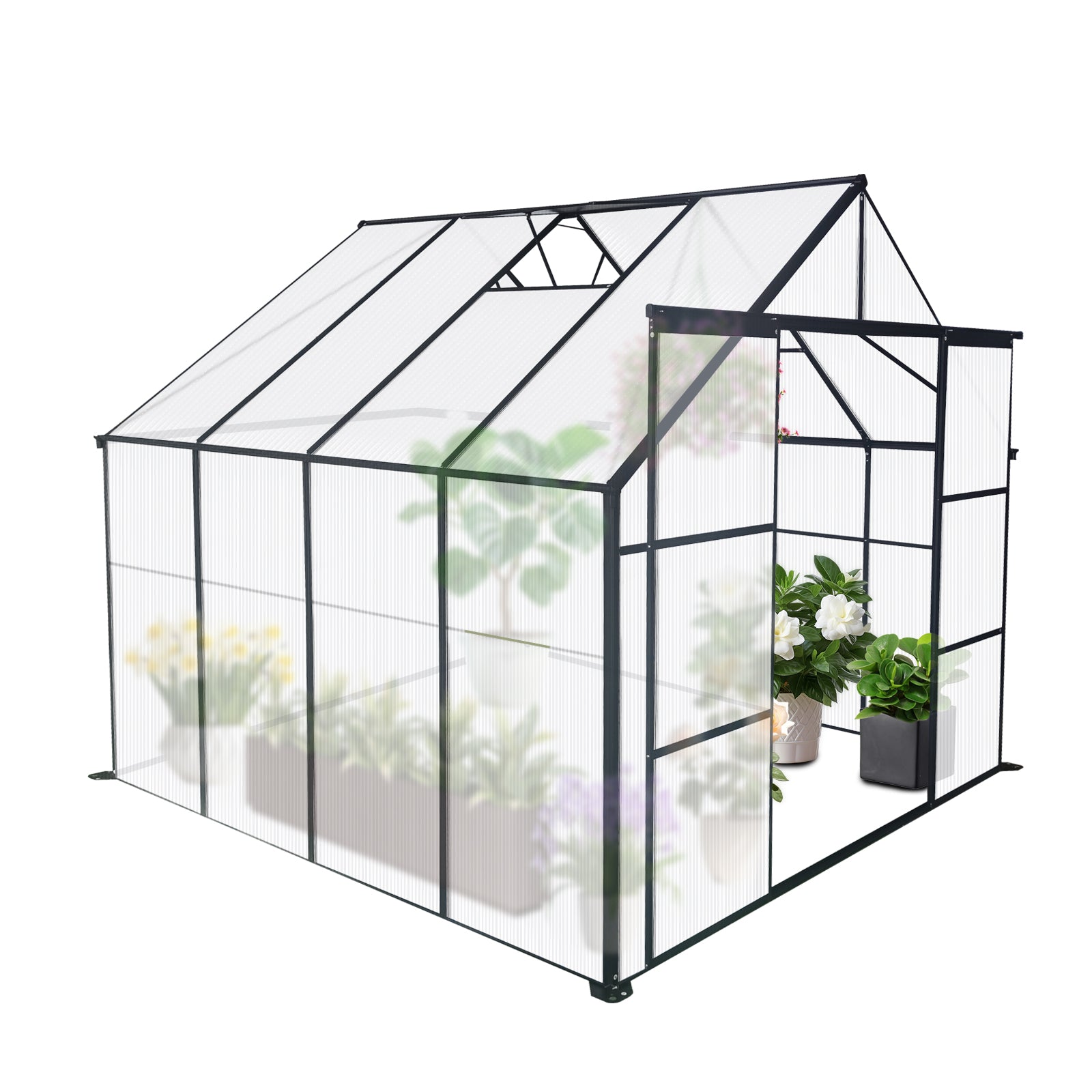 Compact polycarbonate greenhouse with dark frame and open door ideal for small gardens