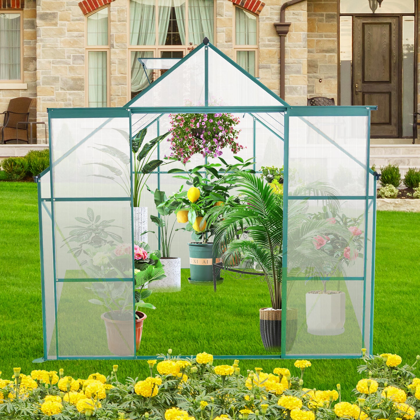 Green polycarbonate greenhouse with hanging petunias and lemon tree