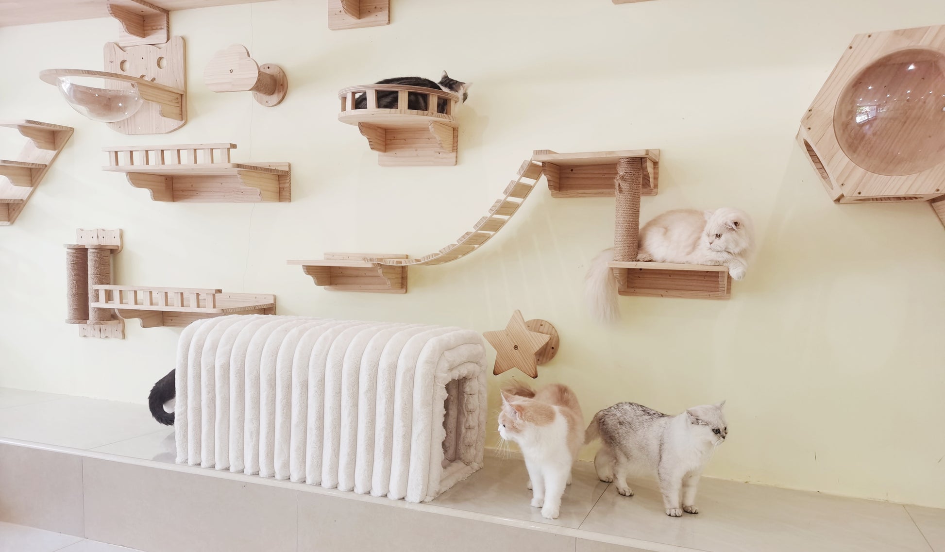 Wallmounted cat tree with wooden shelves and ramps for feline climbing