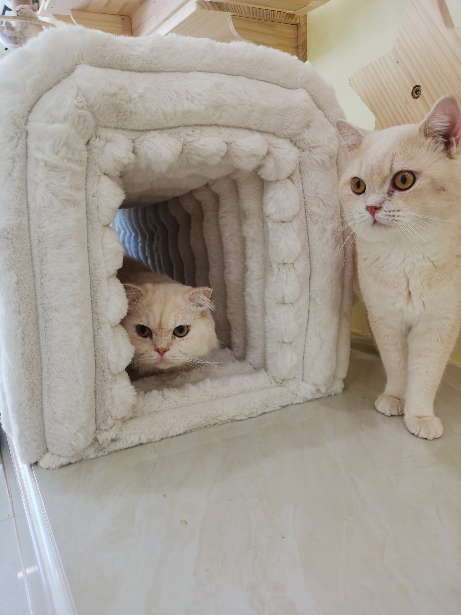 Fluffy white cat house with plush interior