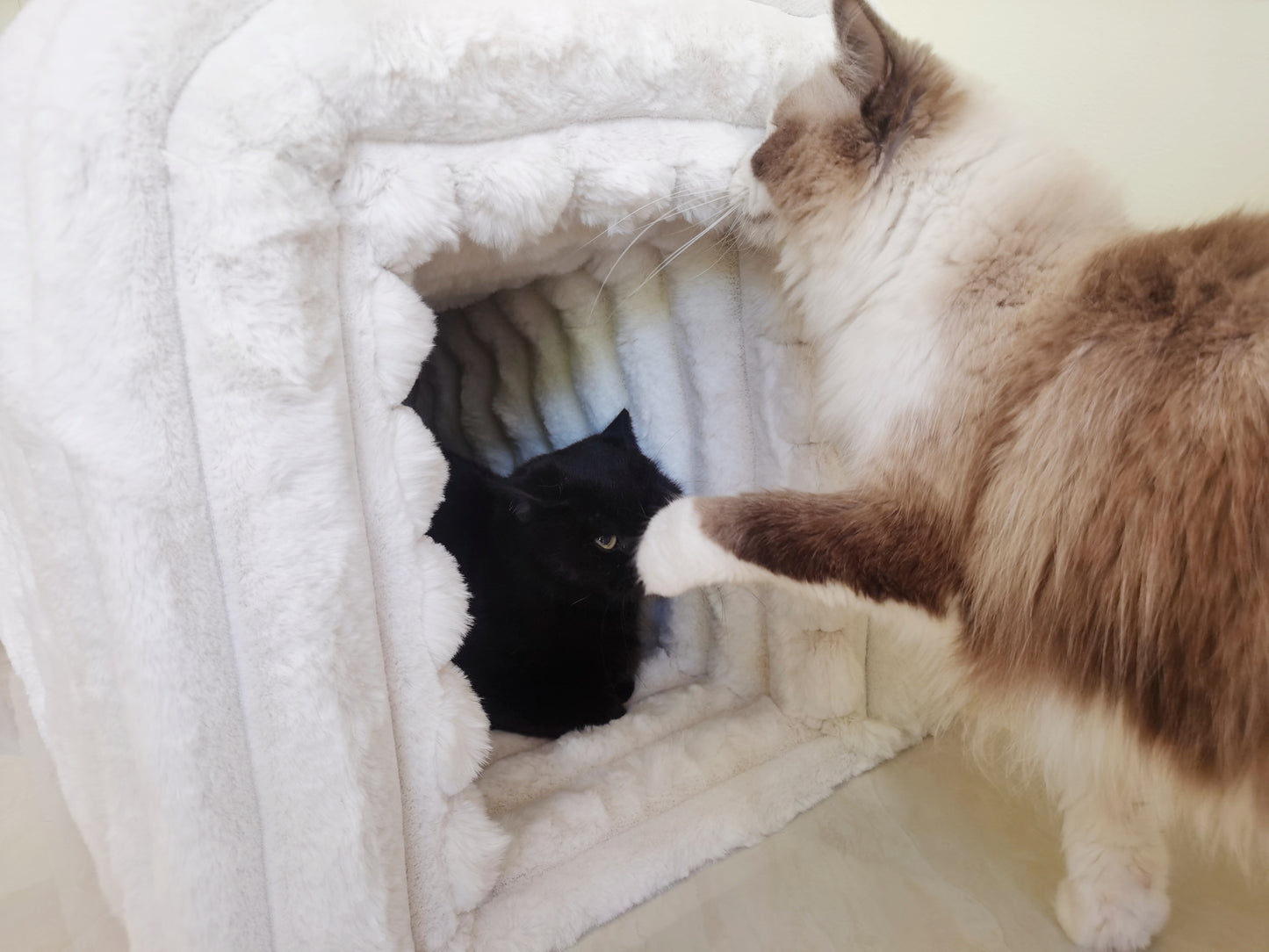 Plush white cat bed cave with a black cat inside and a tabby cat reaching in