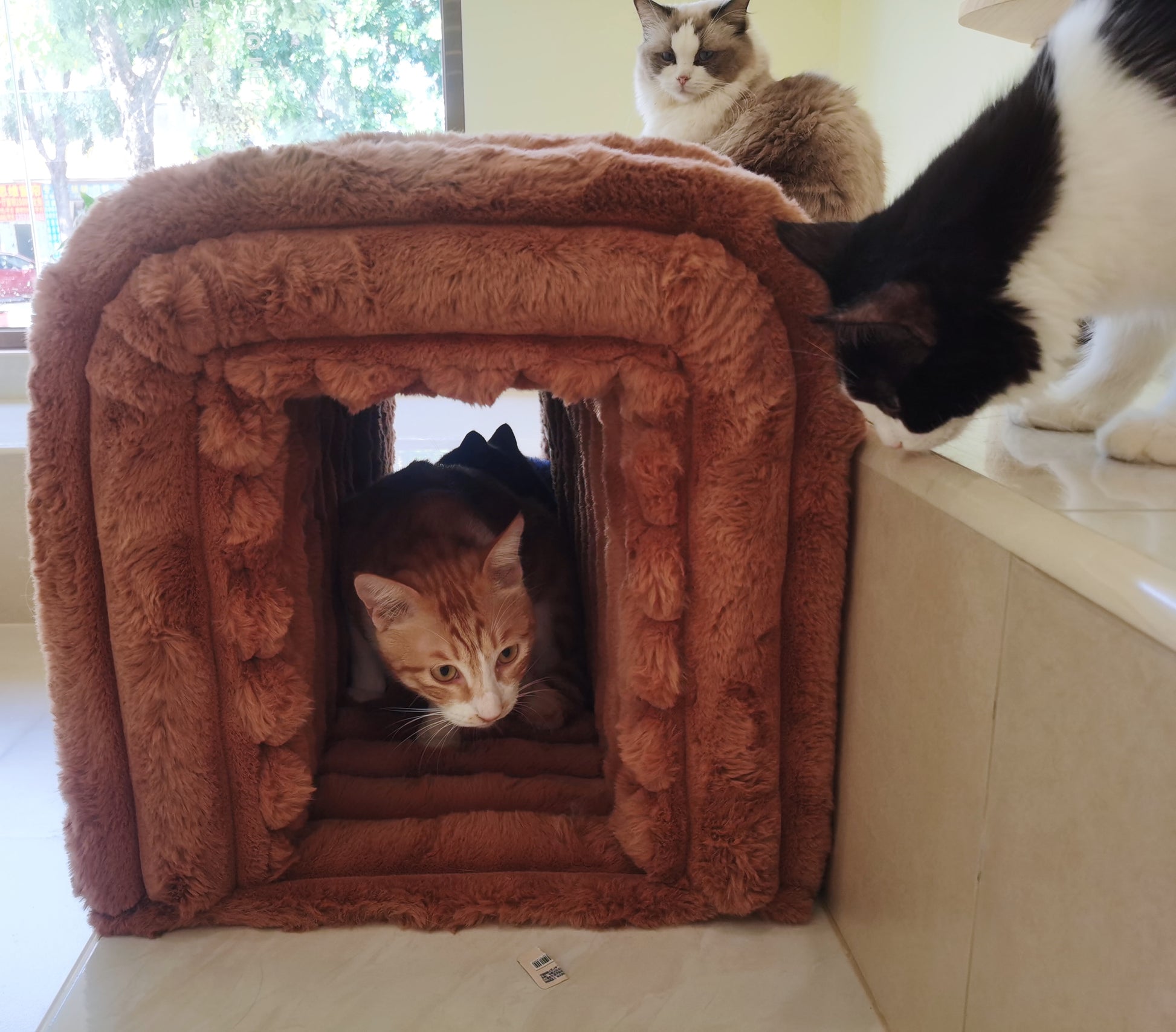 Fluffy brown plush cat tunnel bed with orange tabby cat inside