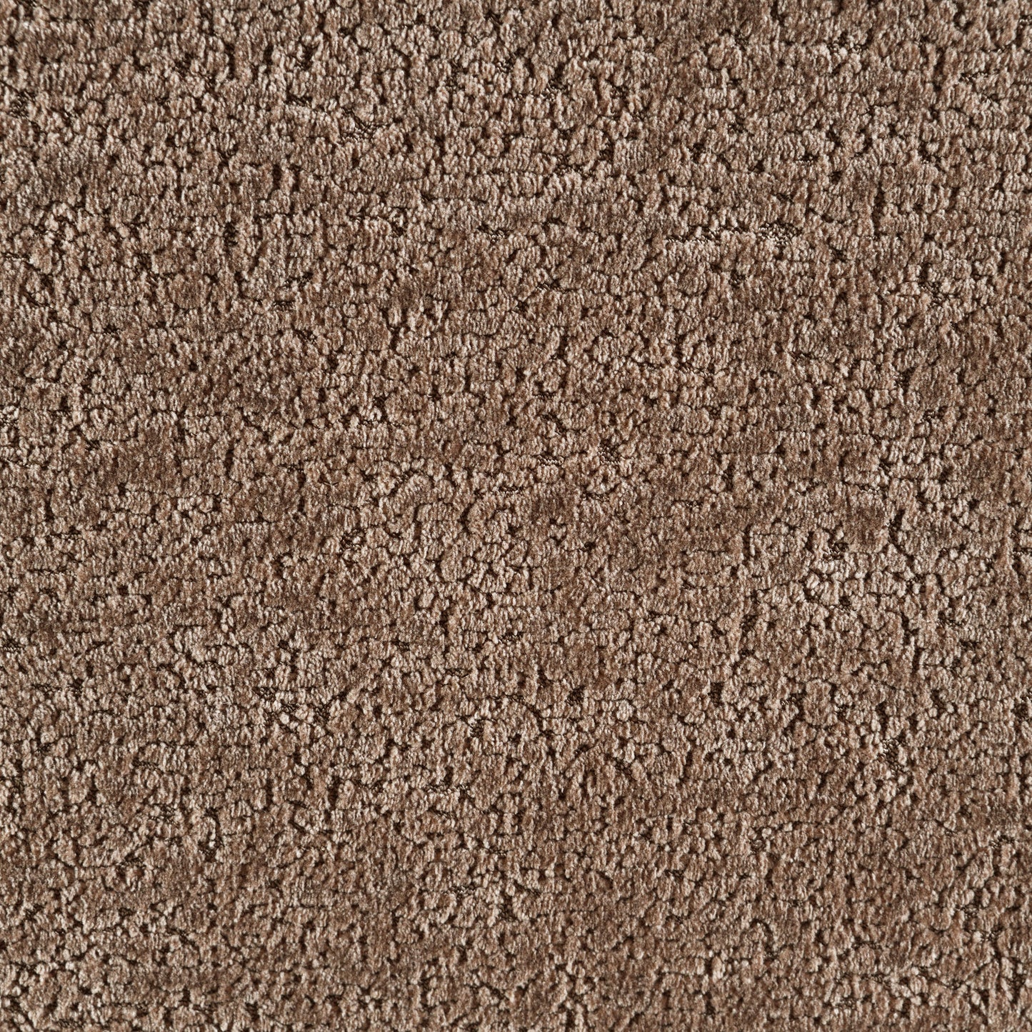 Textured brown shag carpet swatch for living room