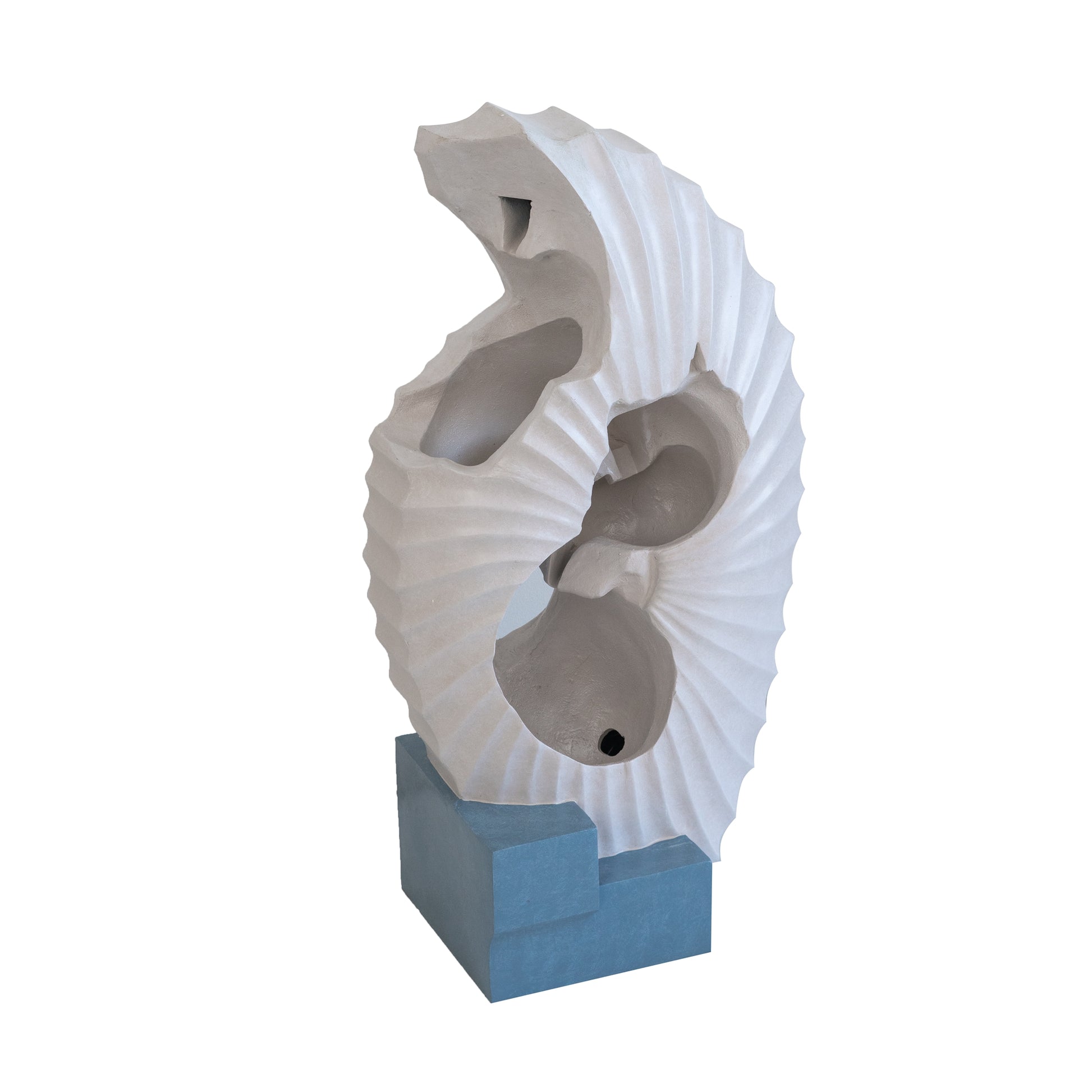 Modern white abstract sculpture with textured shelllike form on a blue base