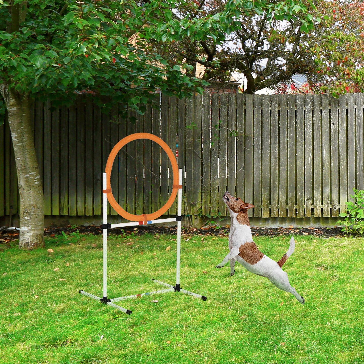 Adjustable dog agility jump training hoop in orange with a white stand
