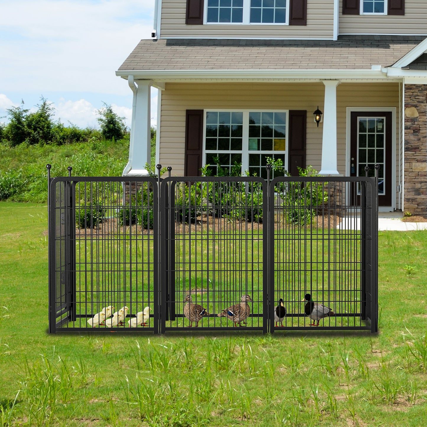 Black metal outdoor dog kennel with five panels containing ducks and chicks