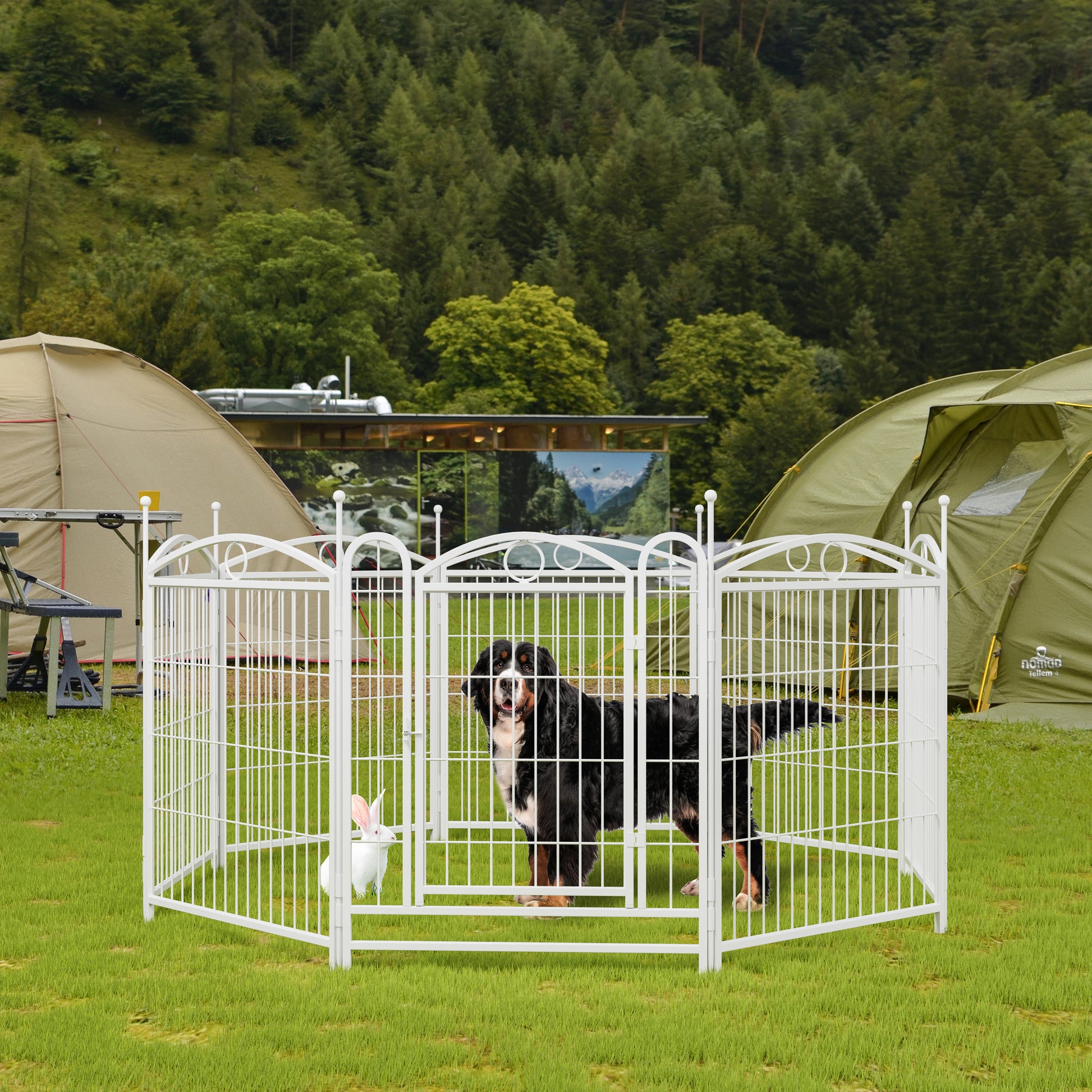 White metal pet playpen with a Bernese Mountain Dog and a white rabbit inside