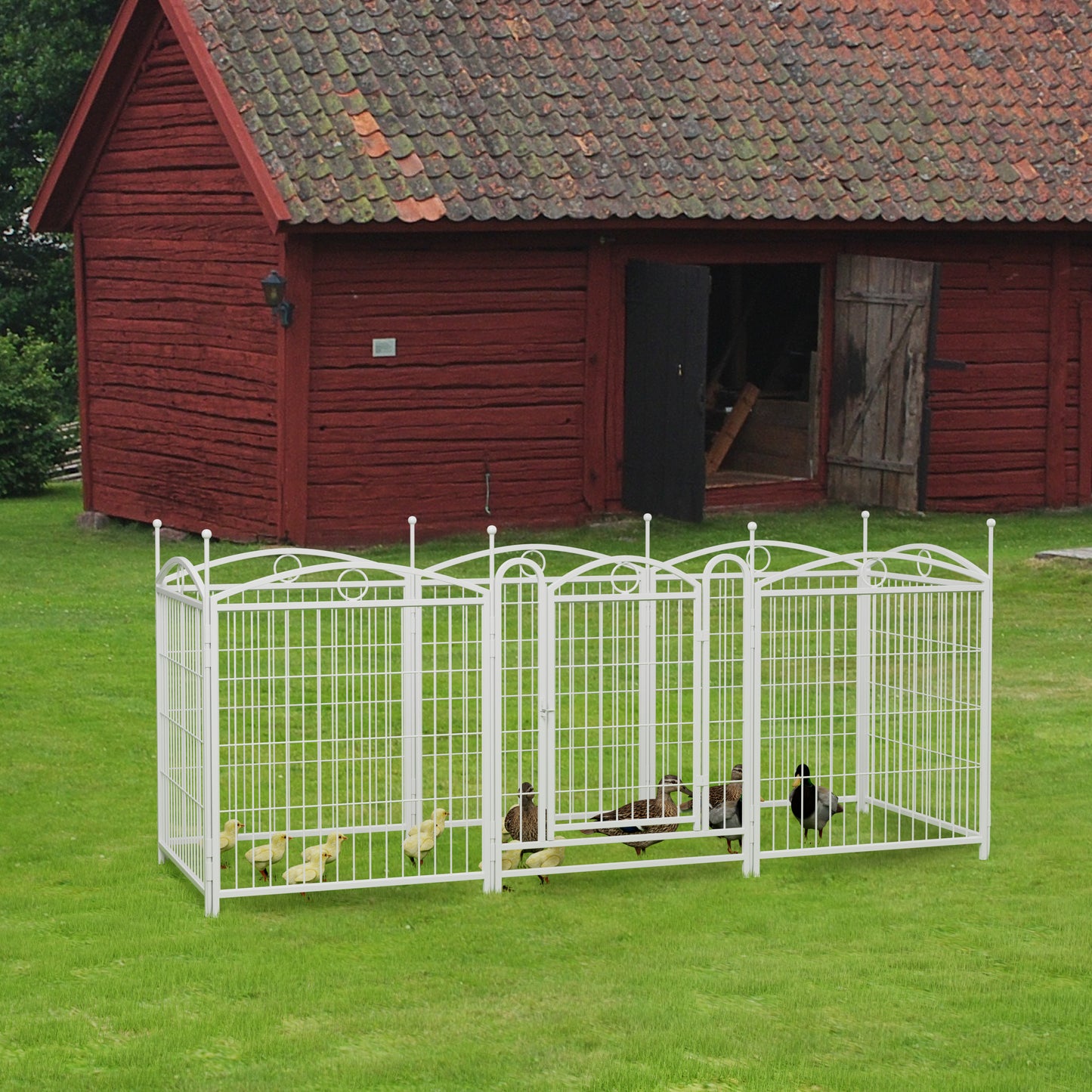 White metal outdoor animal pen with arched top and gate protecting ducks and chicks