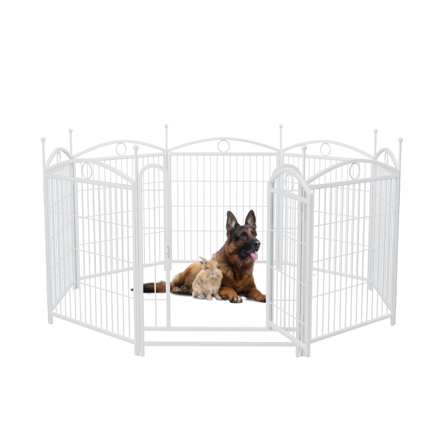 White metal puppy playpen with decorative scrollwork and two pets inside