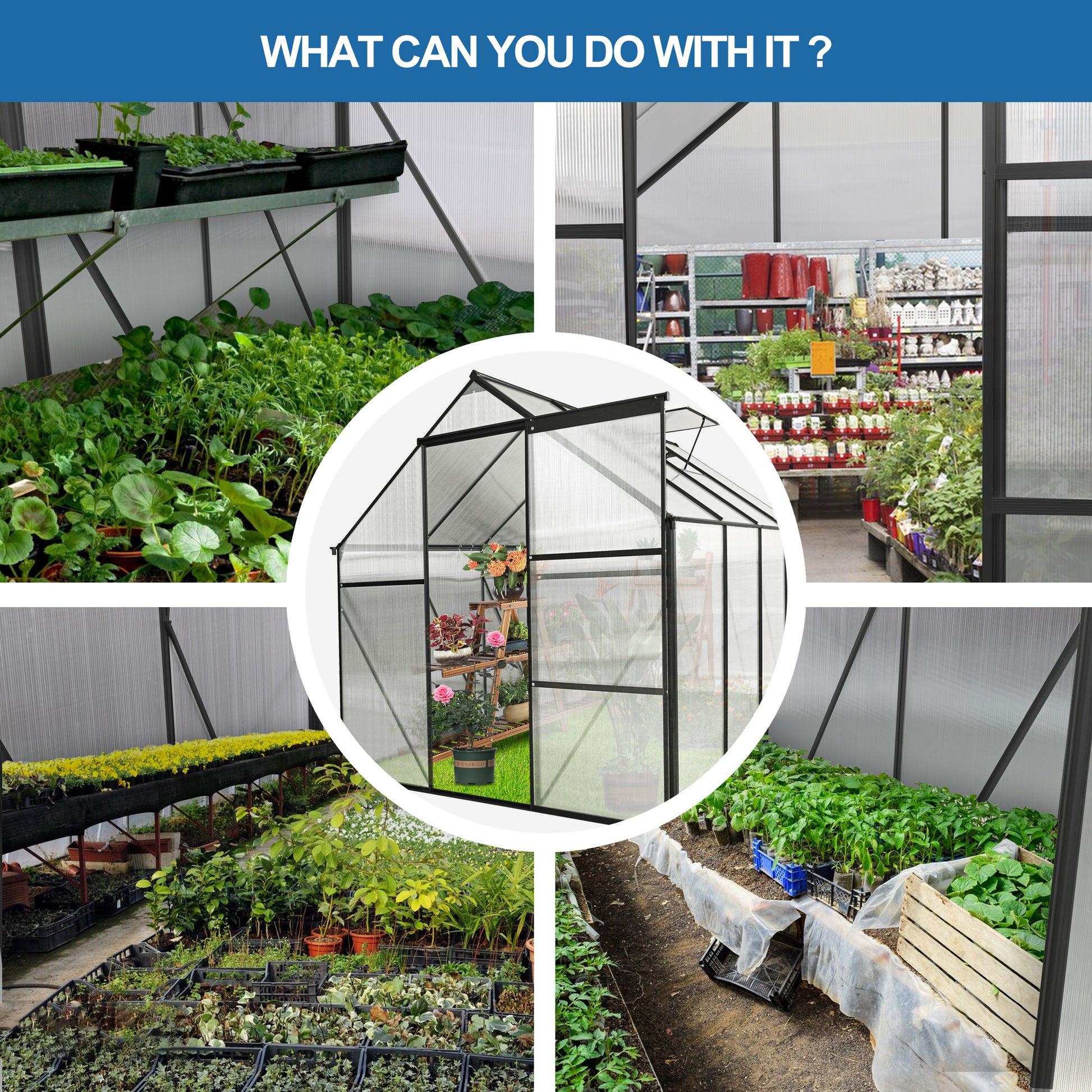 Black metal frame greenhouse with polycarbonate panels ideal for seed starting