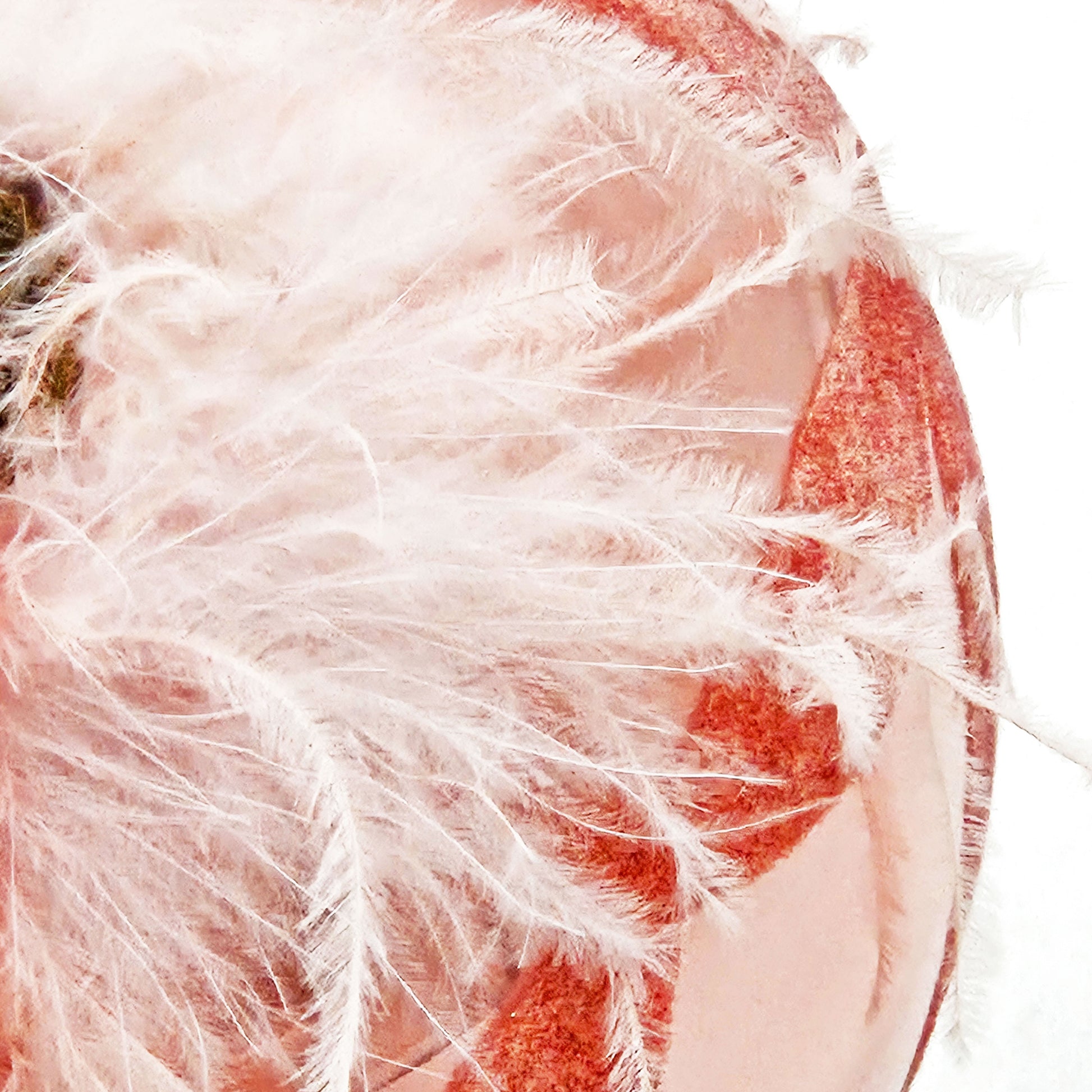 Close up of a pink decorative ball with white feathers and glitter detail