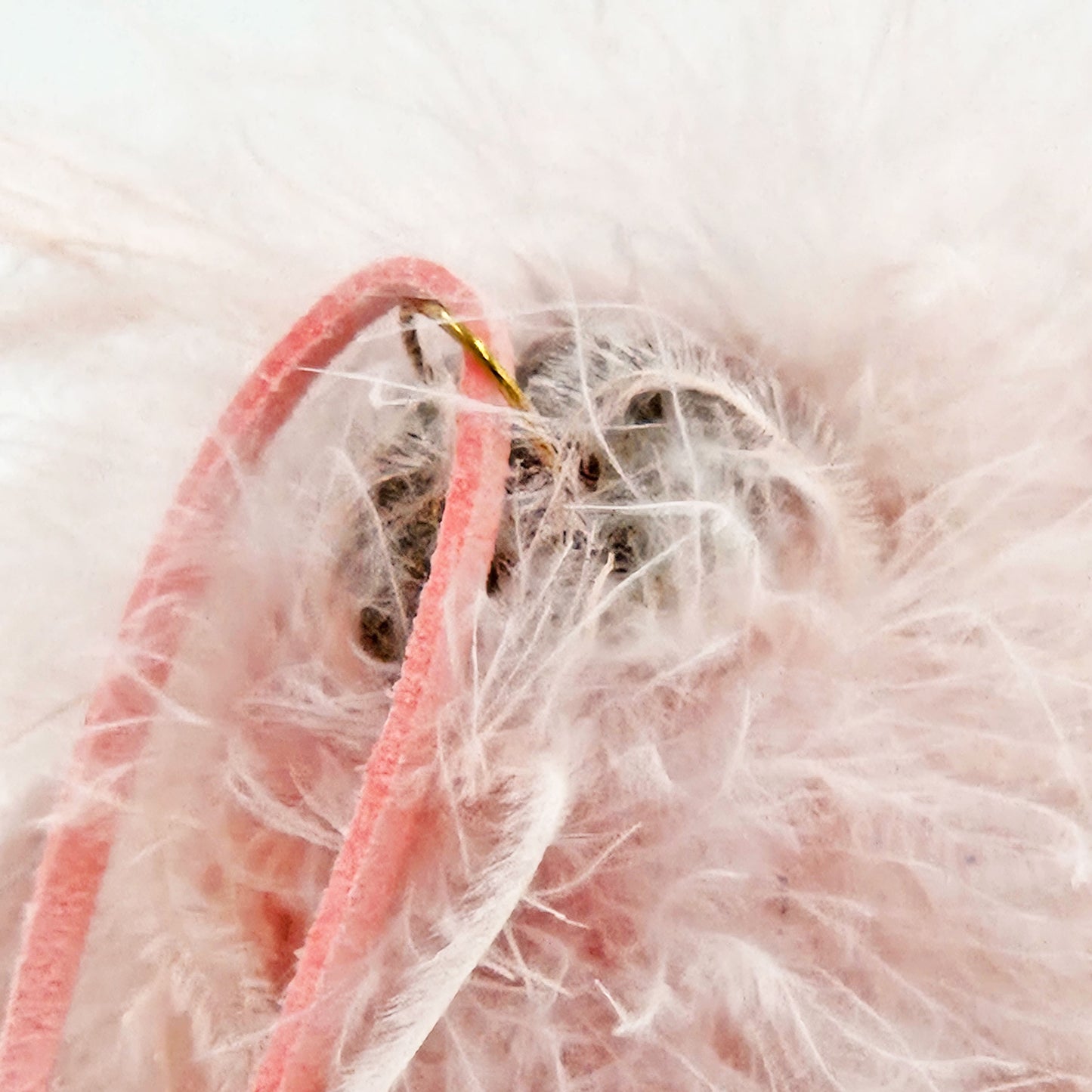 Closeup of delicate pink feather fringe with a velvet ribbon loop and gold detail