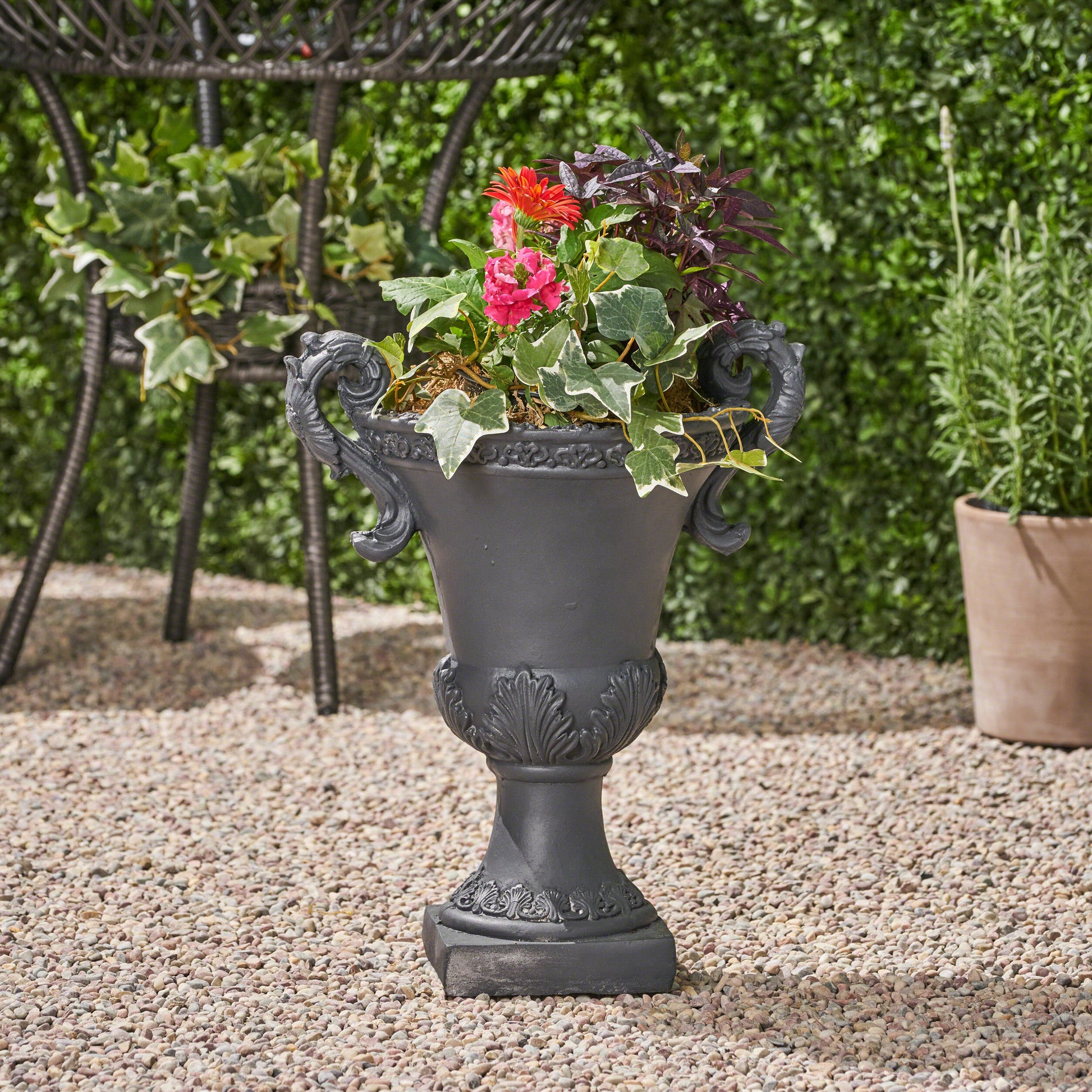 Ornate dark gray cast iron urn planter filled with variegated ivy red gerbera and purple foliage