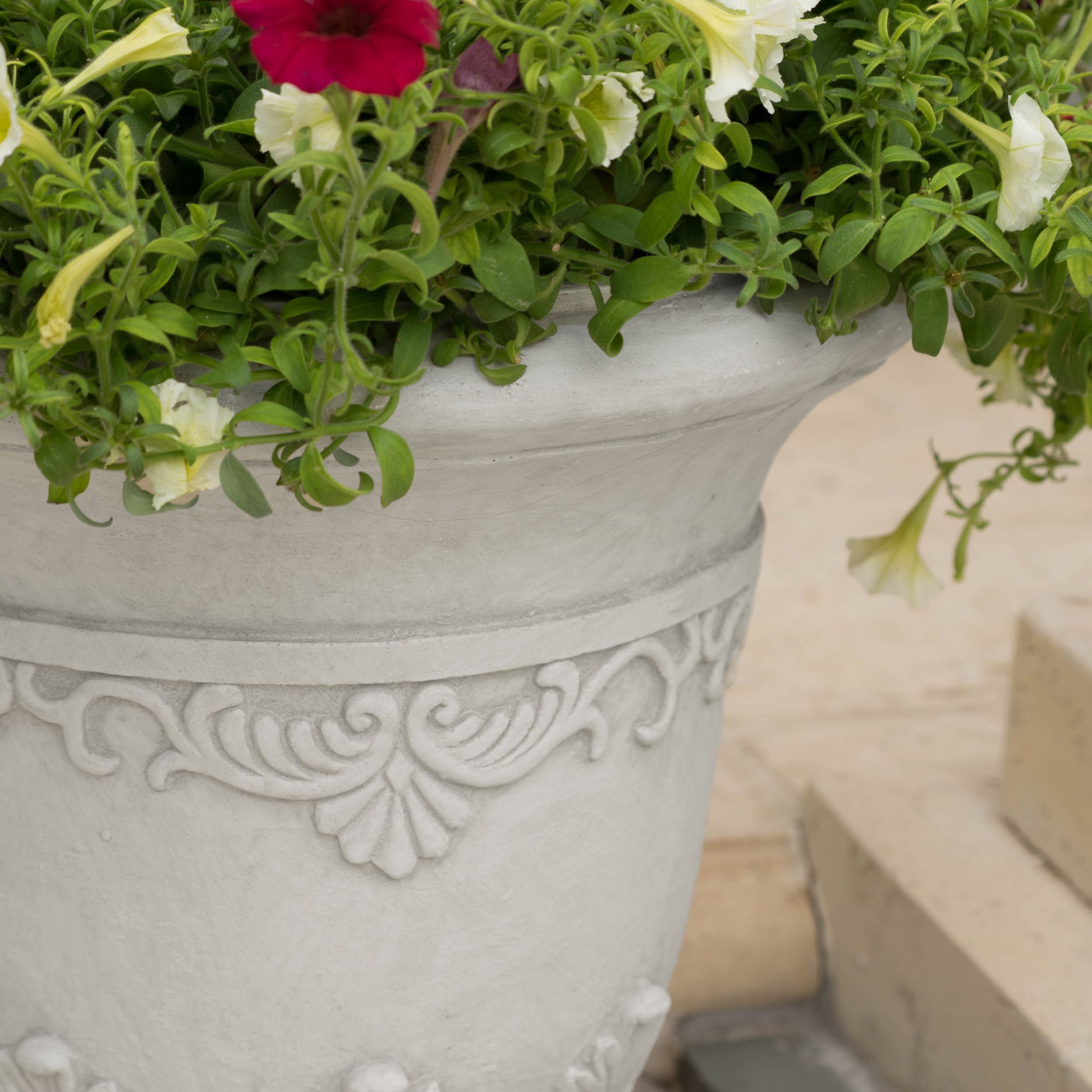Ornate grey concrete planter with red and white petunia flowers