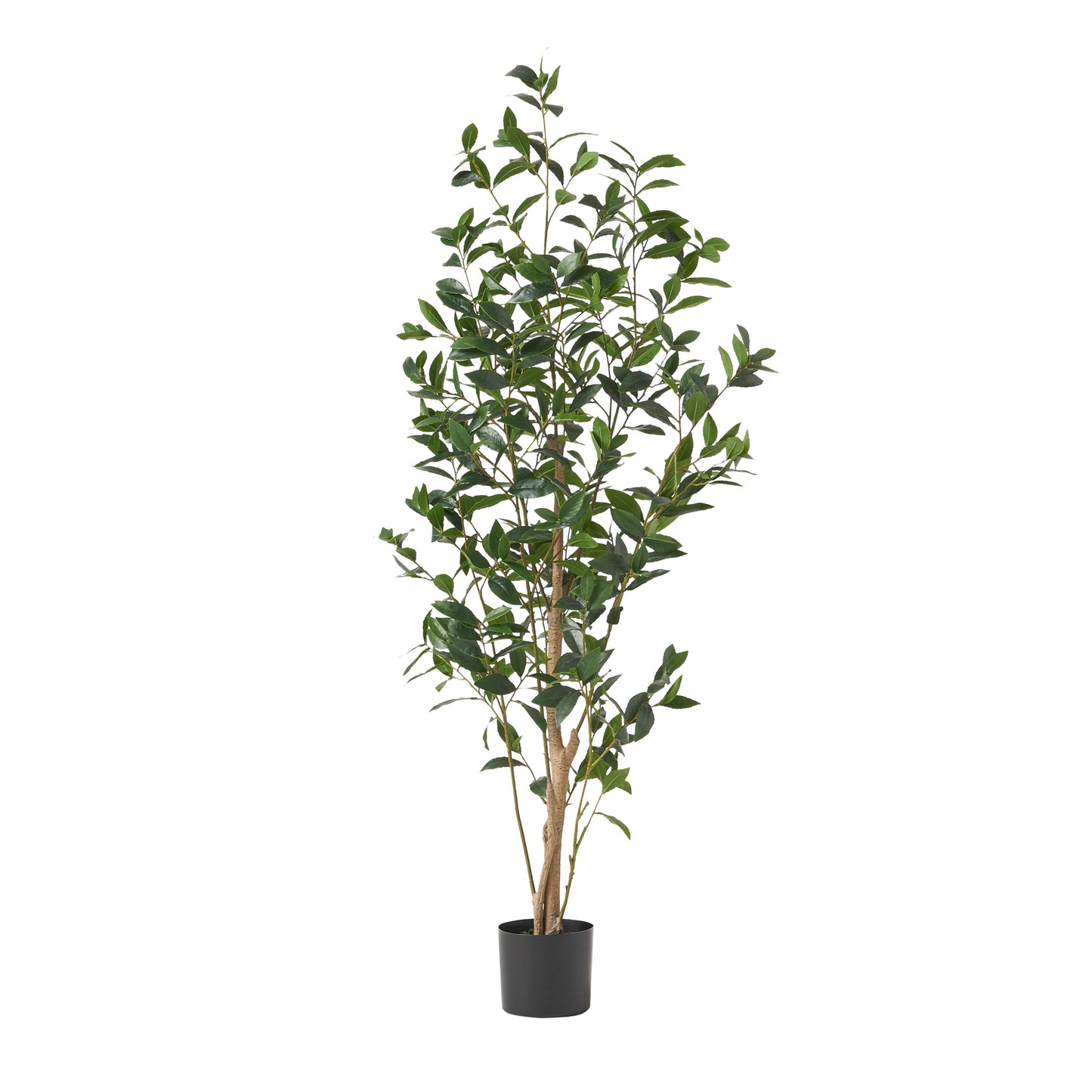 Tall faux olive tree with dense green leaves and a textured trunk in a black planter