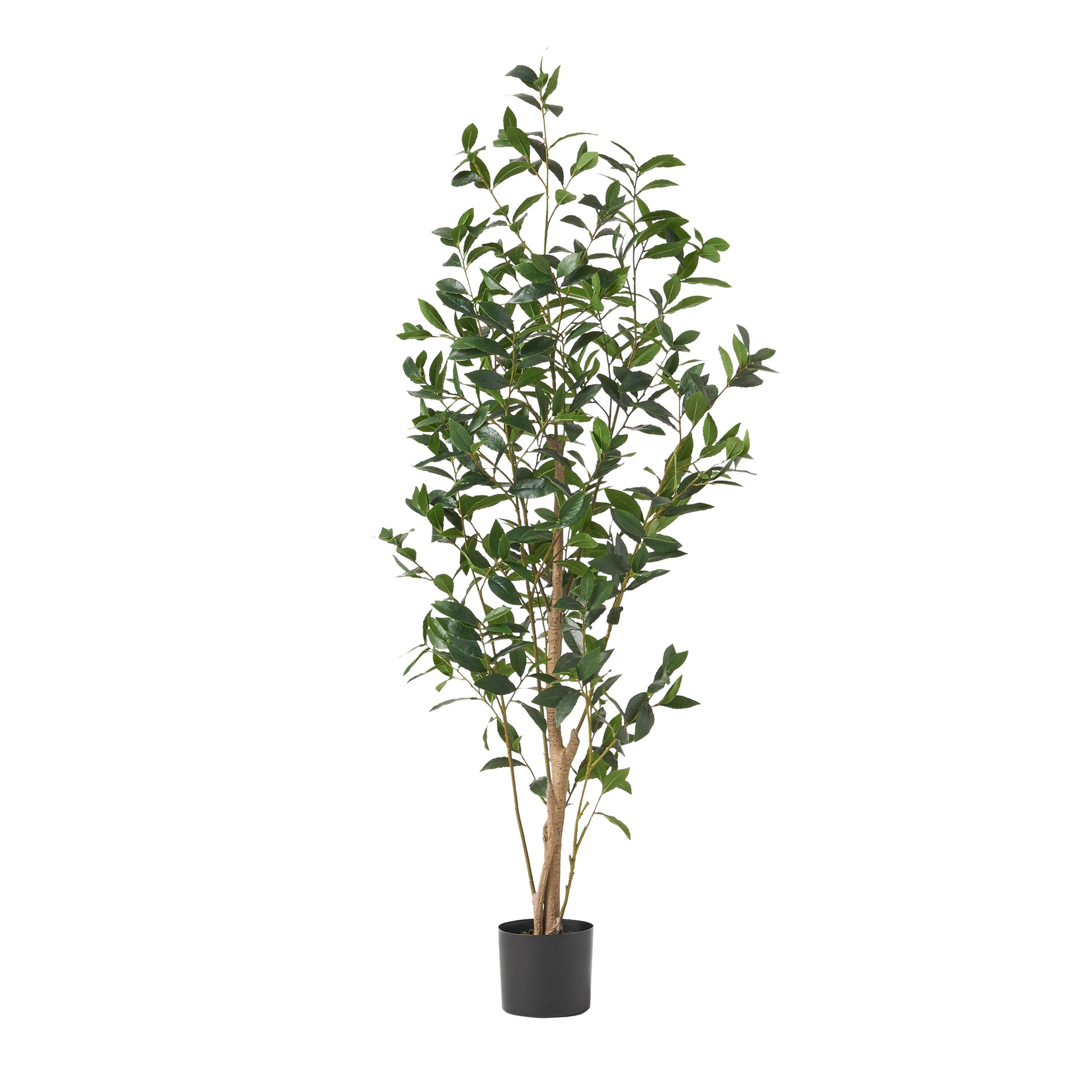Tall faux olive tree with dense green leaves and a textured trunk in a black planter
