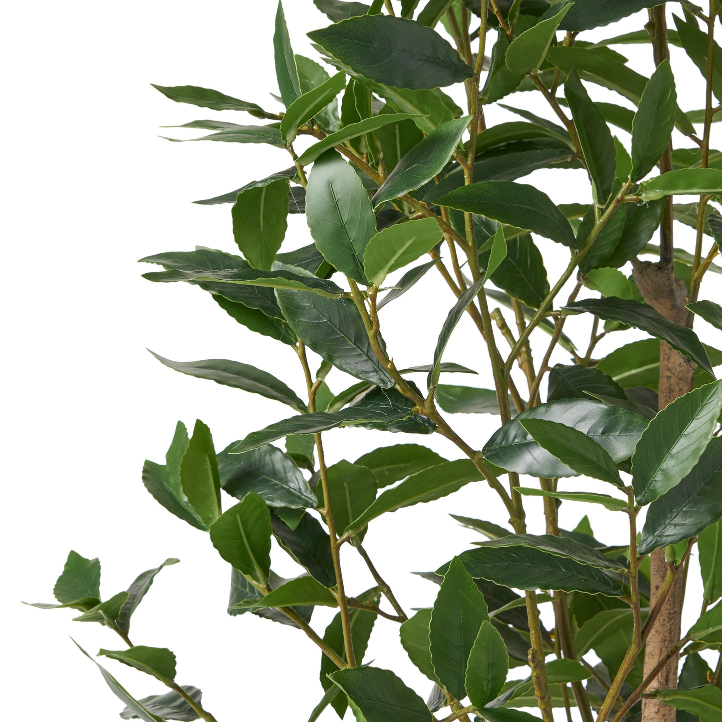 Artificial bay laurel plant with deep green glossy leaves and a textured brown trunk