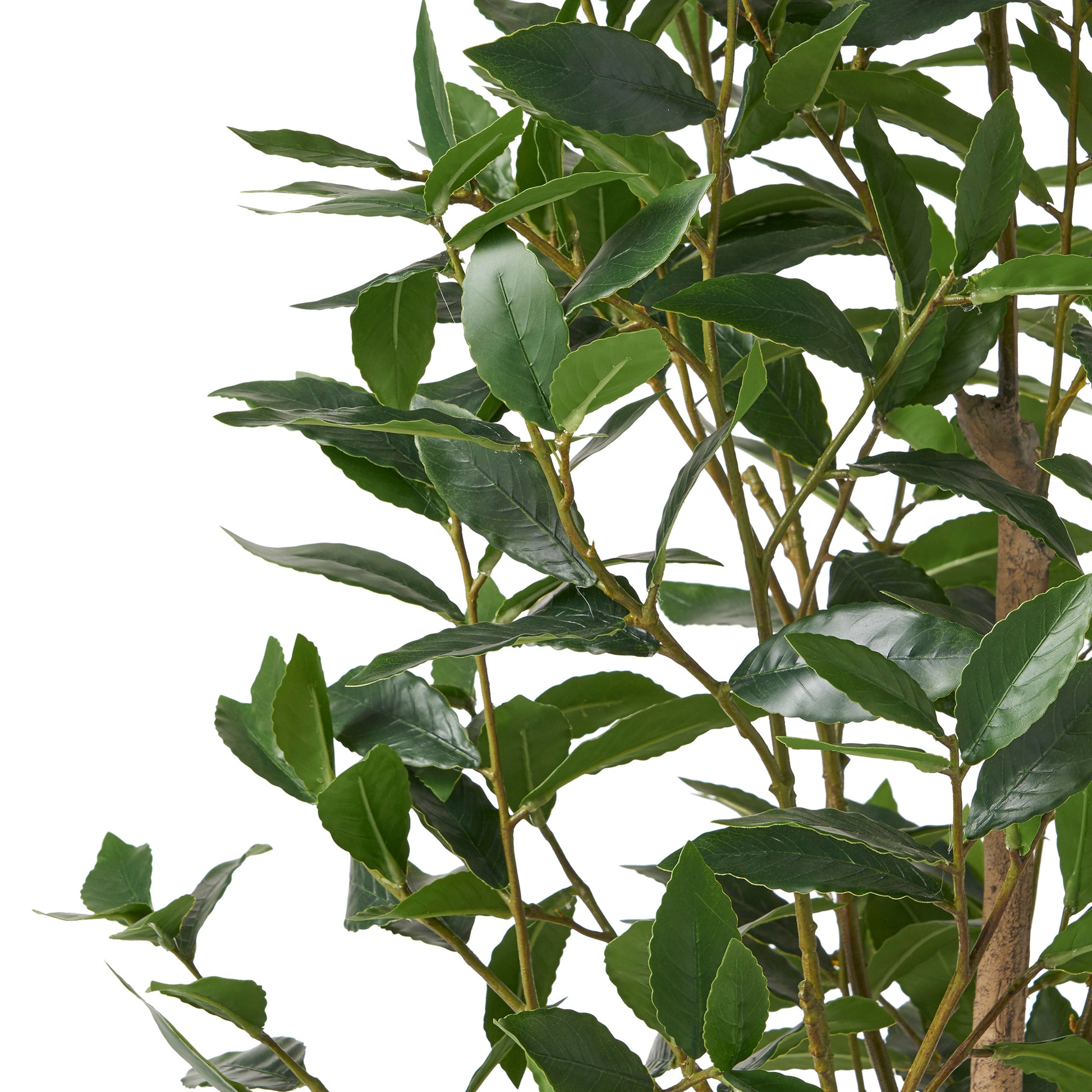 Artificial bay laurel plant with deep green glossy leaves and a textured brown trunk