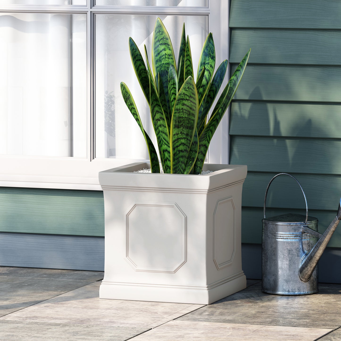 Snake plant in a modern white square planter with embossed octagonal details