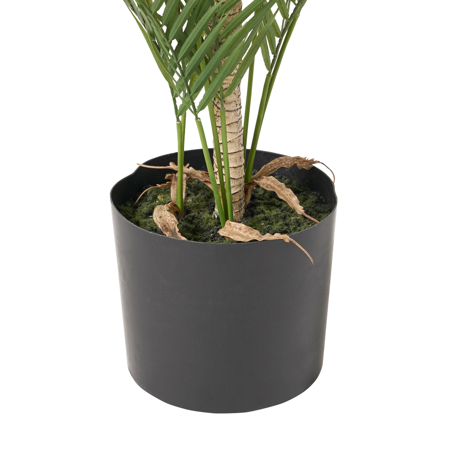 Closeup of a potted artificial palm tree with green leaves and a textured trunk in a black planter
