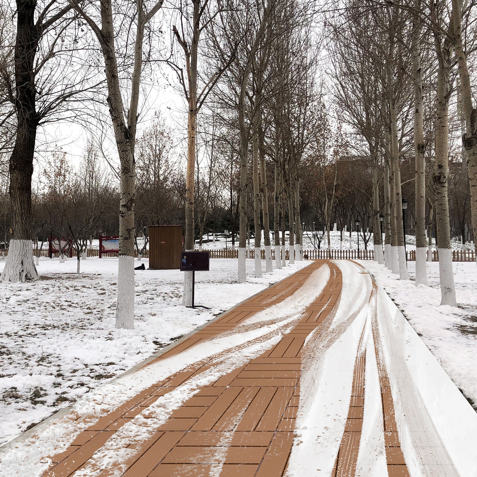 Brown wooden walkway with tire tracks covered in snow lined by whitetrunked trees in a park