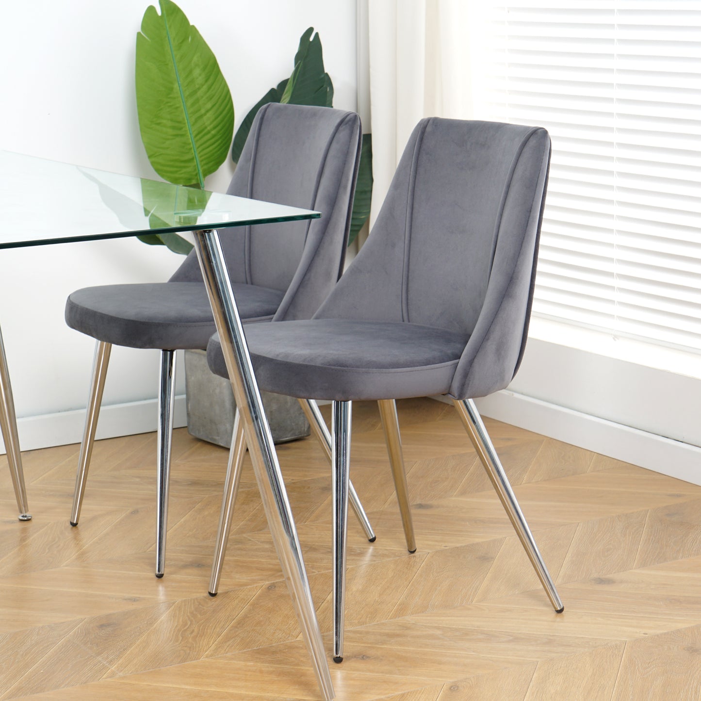 Two grey velvet dining chairs with chrome legs next to a glass dining table