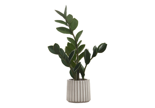 ZZ plant in a ribbed concrete planter a lowmaintenance indoor plant