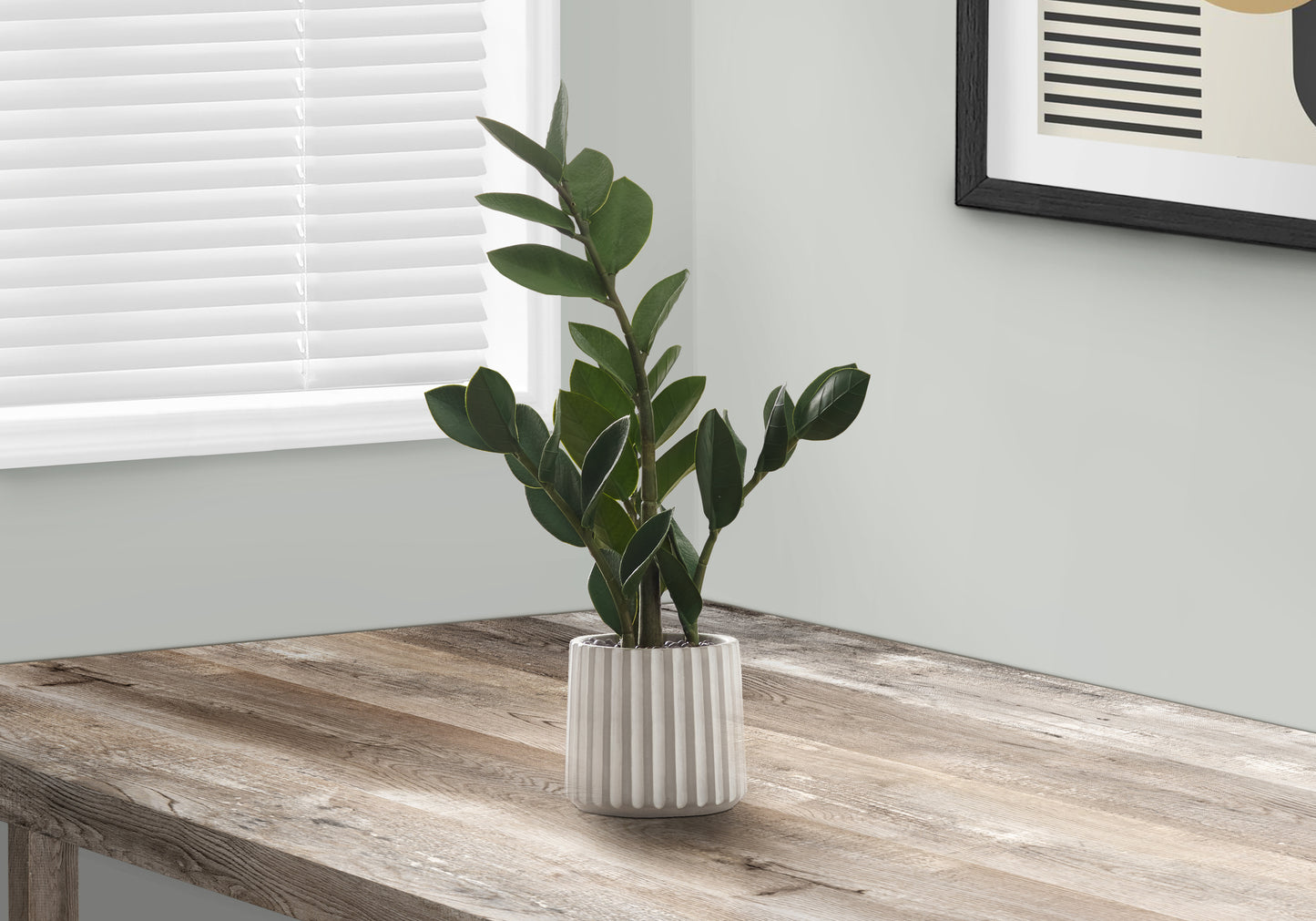 Ceramic ribbed planter with a ZZ plant on a wooden desk