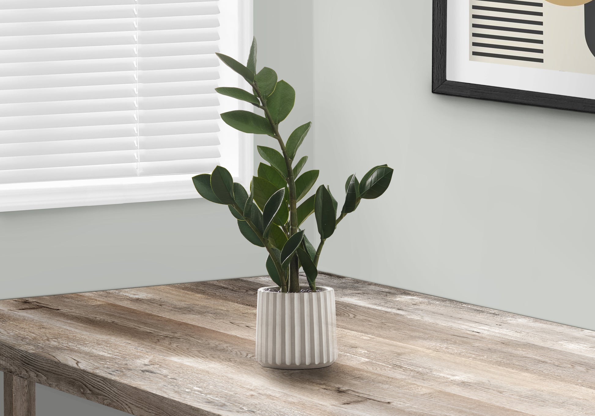 Ceramic ribbed planter with a ZZ plant on a wooden desk